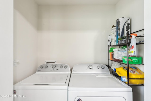 236 Servia Dr, Saint Johns, FL 32259 - washroom featuring independent washer and dryer