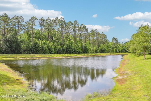 236 Servia Dr, Saint Johns, FL 32259 - water view with a heavily wooded area