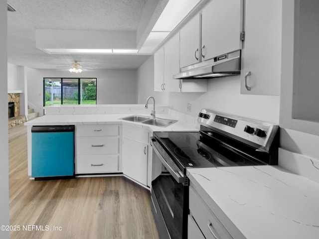 1127 Romaine Cir W, Jacksonville, FL 32225 - kitchen featuring electric range, under cabinet range hood, dishwashing machine, a sink, and light wood finished floors