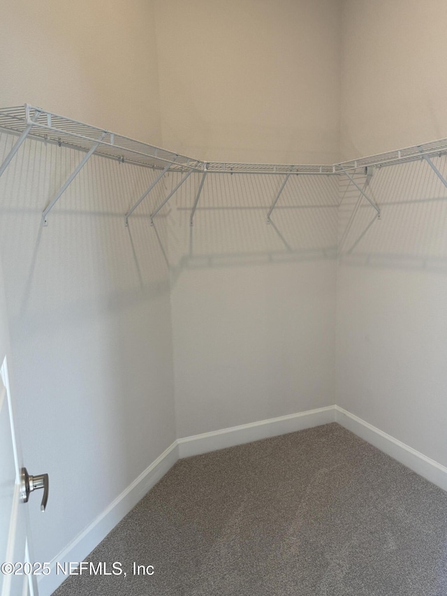 8322 Helmsley Blvd, Jacksonville, FL 32219 - spacious closet featuring carpet flooring