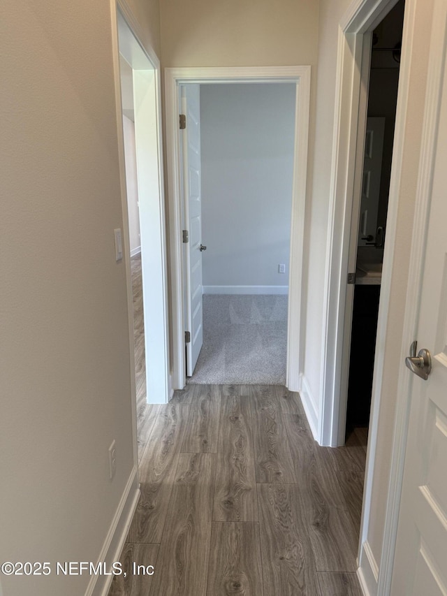 8322 Helmsley Blvd, Jacksonville, FL 32219 - hall with wood finished floors and baseboards