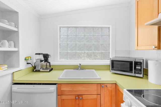 141 Blanco St, Saint Augustine, FL 32084 - photo 15