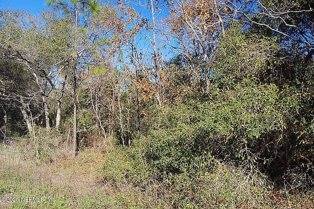 5746 N W Overlook Dr, Keystone Heights, FL 32656