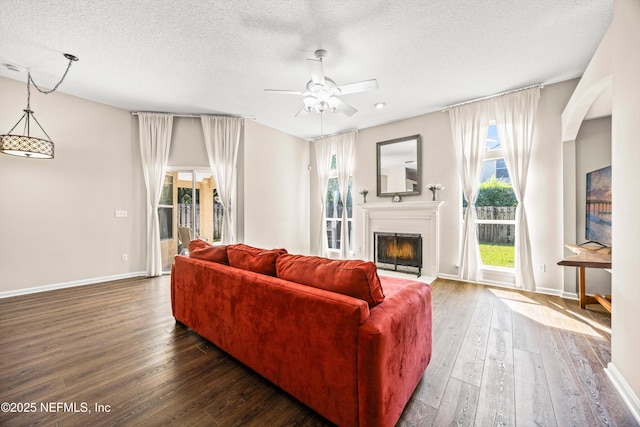 528 Sparrow Branch Cir, Saint Johns, FL 32259 - living room with ceiling fan, hardwood / wood-style floors, a textured ceiling, a glass covered fireplace, and baseboards