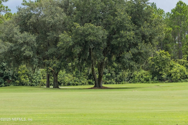 528 Sparrow Branch Cir, Saint Johns, FL 32259 - view of home's community with a yard, golf course view, and view of wooded area