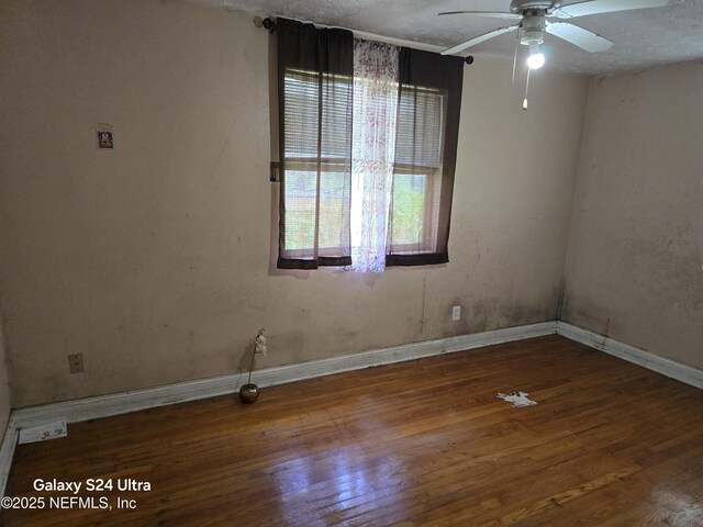 4549 Clinton Ave, Jacksonville, FL 32207 - photo 4