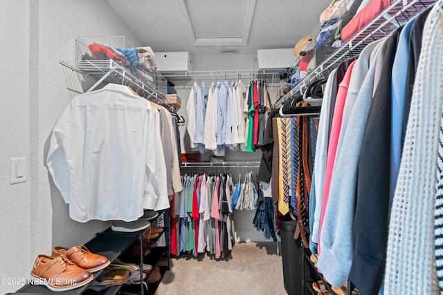571 Meadow Creek Dr, Saint Johns, FL 32259 - walk in closet featuring attic access and carpet