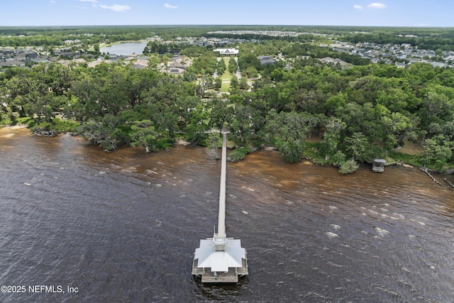 571 Meadow Creek Dr, Saint Johns, FL 32259 - view of property location featuring a nearby body of water and a tree filled landscape