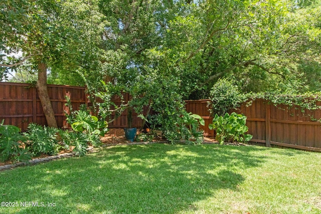 4241 Lexington Ave, Jacksonville, FL 32210 - view of yard