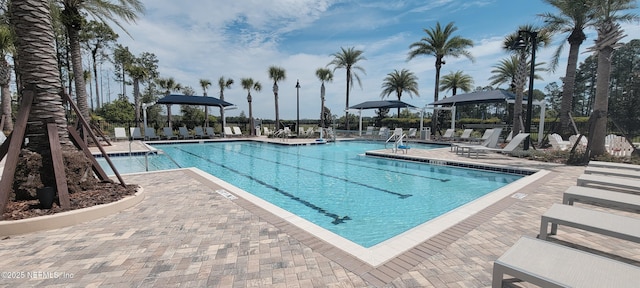 55 Fairlake Cir, Saint Augustine, FL 32092 - community pool with a patio area