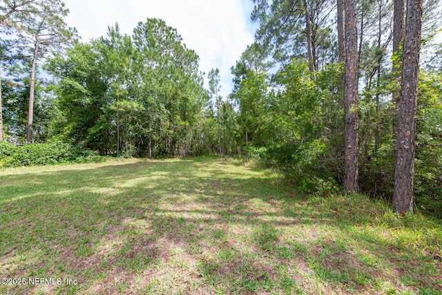 8609 Victoria Falls Dr, Jacksonville, FL 32244 - view of grassy yard