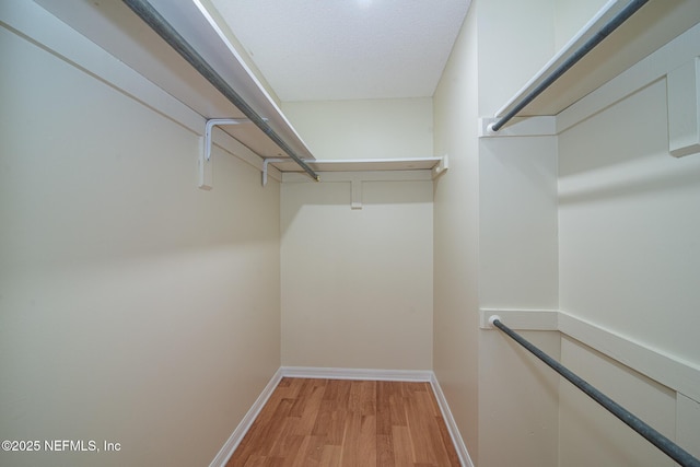 2333 The Woods Dr, Jacksonville, FL 32246 - photo 24