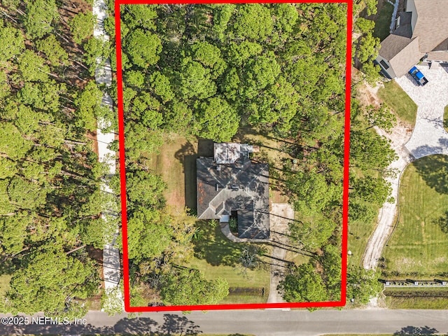 96092 Piney Island Dr, Fernandina Beach, FL 32034 - aerial view of property's location with property boundaries highlighted