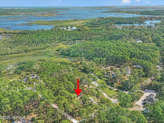 96092 Piney Island Dr, Fernandina Beach, FL 32034 - aerial view of property's location featuring a large body of water and a forest