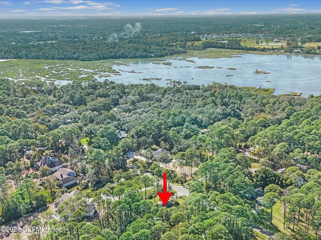 96092 Piney Island Dr, Fernandina Beach, FL 32034 - view of property location with a heavily wooded area and a nearby body of water
