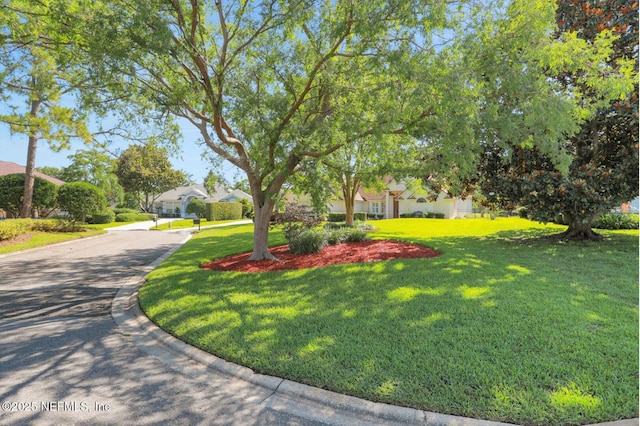 13177 Cricket Cove Rd, Jacksonville, FL 32224 - photo 4