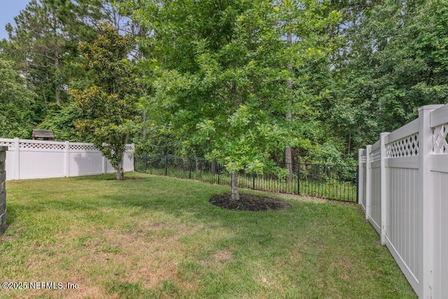 356 Heron Landing Rd, Saint Johns, FL 32259 - view of yard