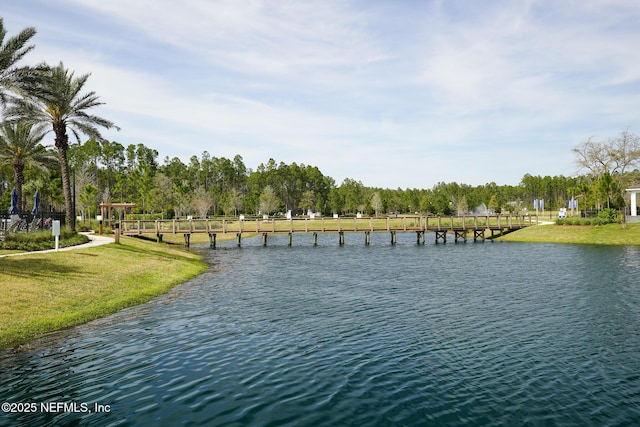 109 Fly Line Dr, Saint Johns, FL 32259 - water view featuring a tree filled landscape
