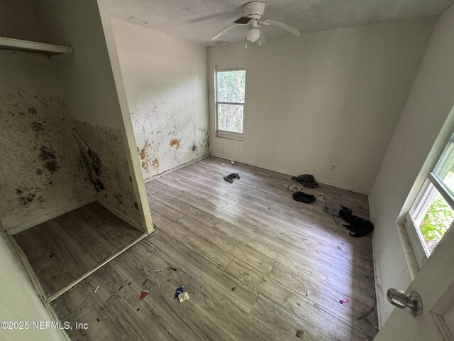 3317 N Laura St, Jacksonville, FL 32206 - photo 14