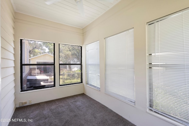 606 Meteor St, Jacksonville, FL 32205 - unfurnished sunroom with carpet floors