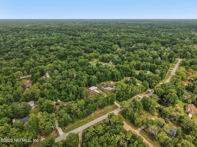 2988 Beaver Ave, Middleburg, FL 32068 - photo 42