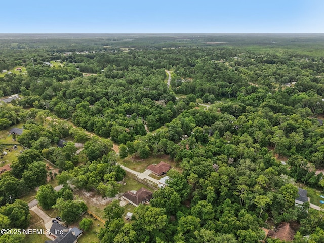 2988 Beaver Ave, Middleburg, FL 32068 - photo 45