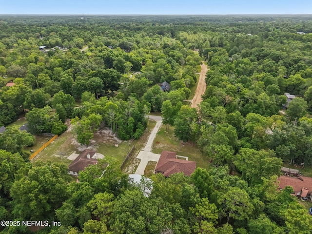 2988 Beaver Ave, Middleburg, FL 32068 - photo 46
