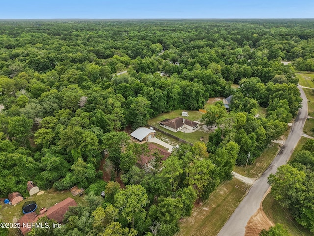 2988 Beaver Ave, Middleburg, FL 32068 - photo 48