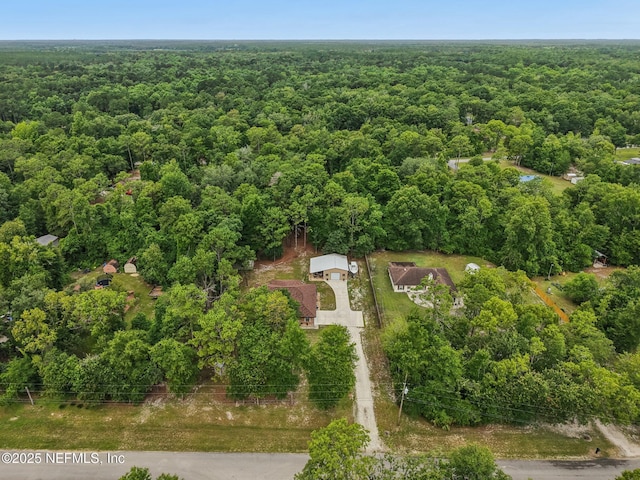 2988 Beaver Ave, Middleburg, FL 32068 - photo 49