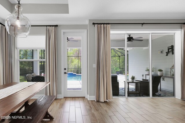 91 Rockhurst Trl, Jacksonville, FL 32081 - doorway featuring ceiling fan, light wood-style floors, and baseboards