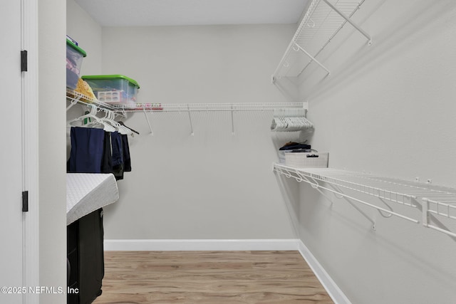 91 Rockhurst Trl, Jacksonville, FL 32081 - walk in closet with light wood-style floors