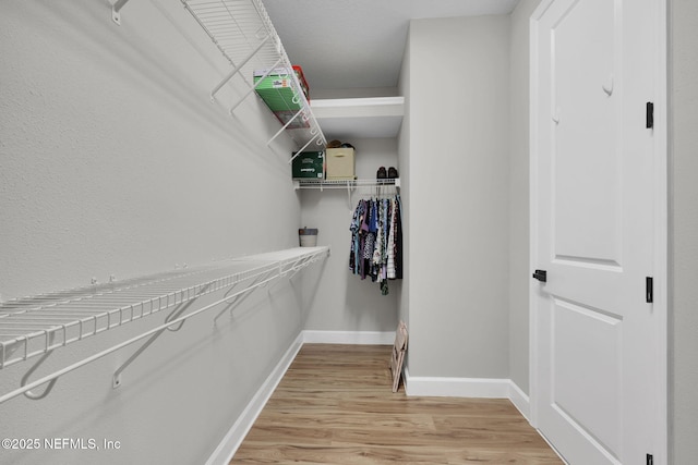 91 Rockhurst Trl, Jacksonville, FL 32081 - walk in closet with light wood-style flooring