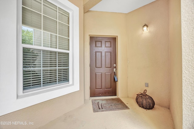 6634 White Blossom Ct Unit 9C, Jacksonville, FL 32258 - photo 6