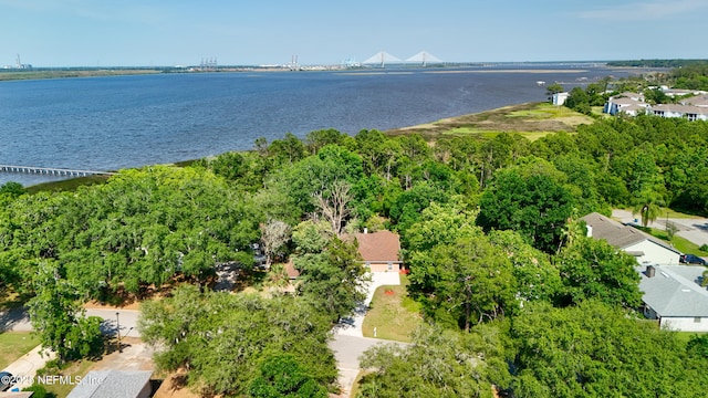 4535 Whispering Inlet Dr, Jacksonville, FL 32277 - photo 52