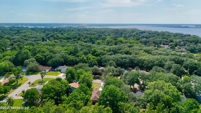 4535 Whispering Inlet Dr, Jacksonville, FL 32277 - photo 54