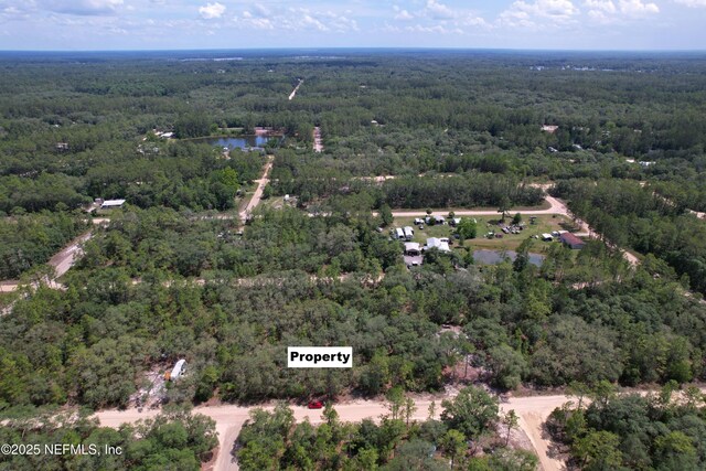 00 Dottie St, Interlachen, FL 32148 - photo 2