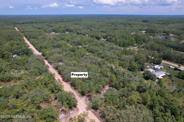00 Dottie St, Interlachen, FL 32148 - photo 4