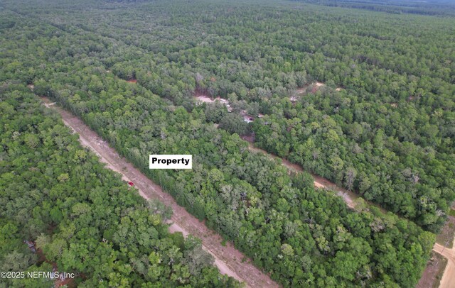 0000 Gloria, Florahome, FL 32140