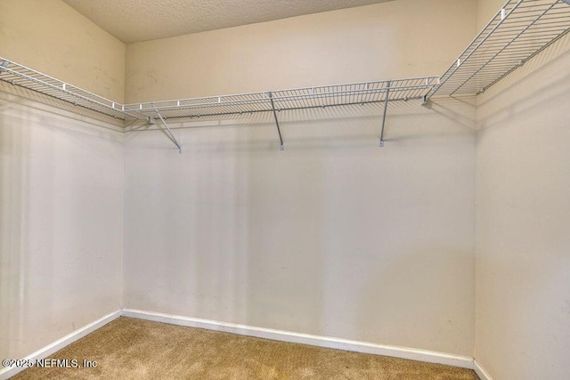 2120 Stone Creek Dr Unit F, Fleming Island, FL 32003 - photo 11