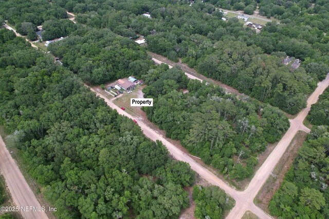 00 Maltas Ave, Interlachen, FL 32148 - photo 2