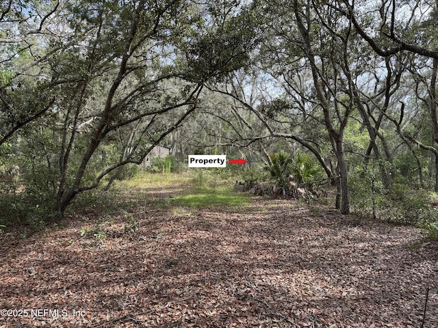 143 Dawson Ave, Interlachen, FL 32148 - photo 7