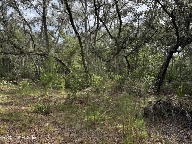 143 Dawson Ave, Interlachen, FL 32148 - photo 8
