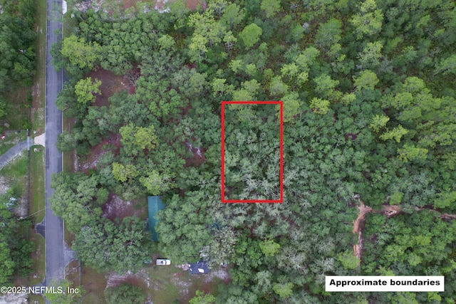 143 Dawson Ave, Interlachen, FL 32148 - photo 1