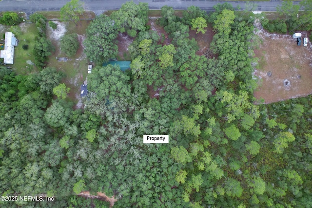 143 Dawson Ave, Interlachen, FL 32148 - photo 4