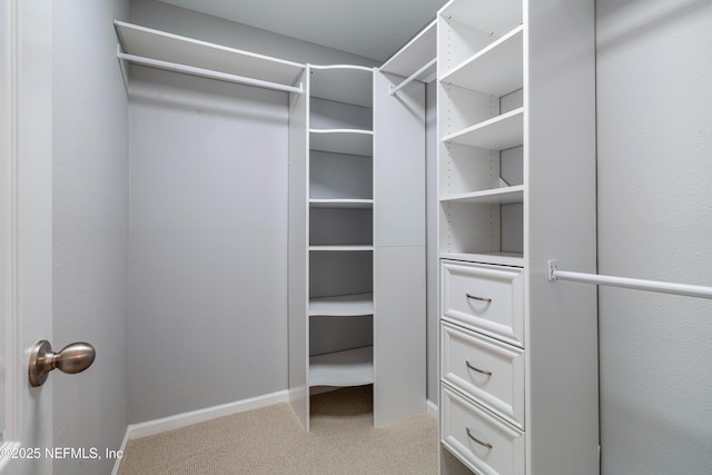 271 Roaring Brook Dr, Saint Augustine, FL 32084 - spacious closet featuring carpet flooring