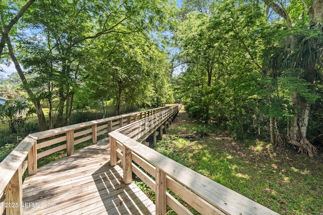 271 Roaring Brook Dr, Saint Augustine, FL 32084 - view of surrounding community