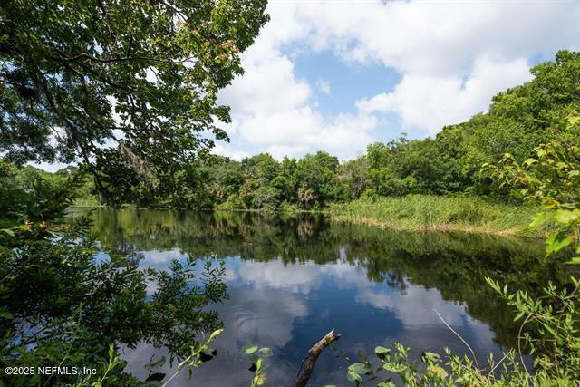 271 Roaring Brook Dr, Saint Augustine, FL 32084 - water view with a forest