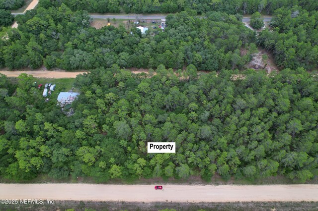 00 Usina Ave, Interlachen, FL 32148 - photo 2