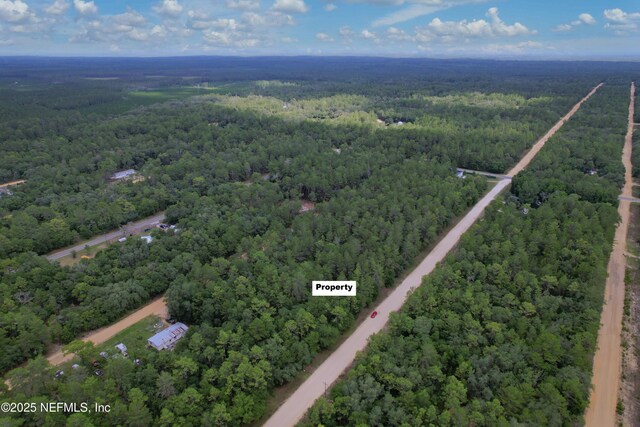00 Usina Ave, Interlachen, FL 32148 - photo 3