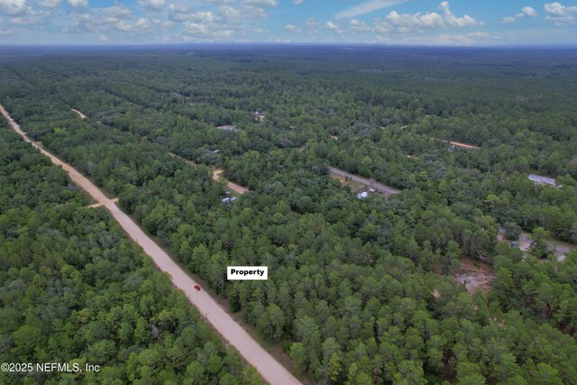 00 Usina Ave, Interlachen, FL 32148 - photo 4